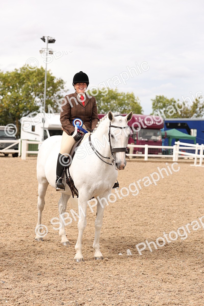 SBM_16530 - Class 212 - Ridden Hunter - Small