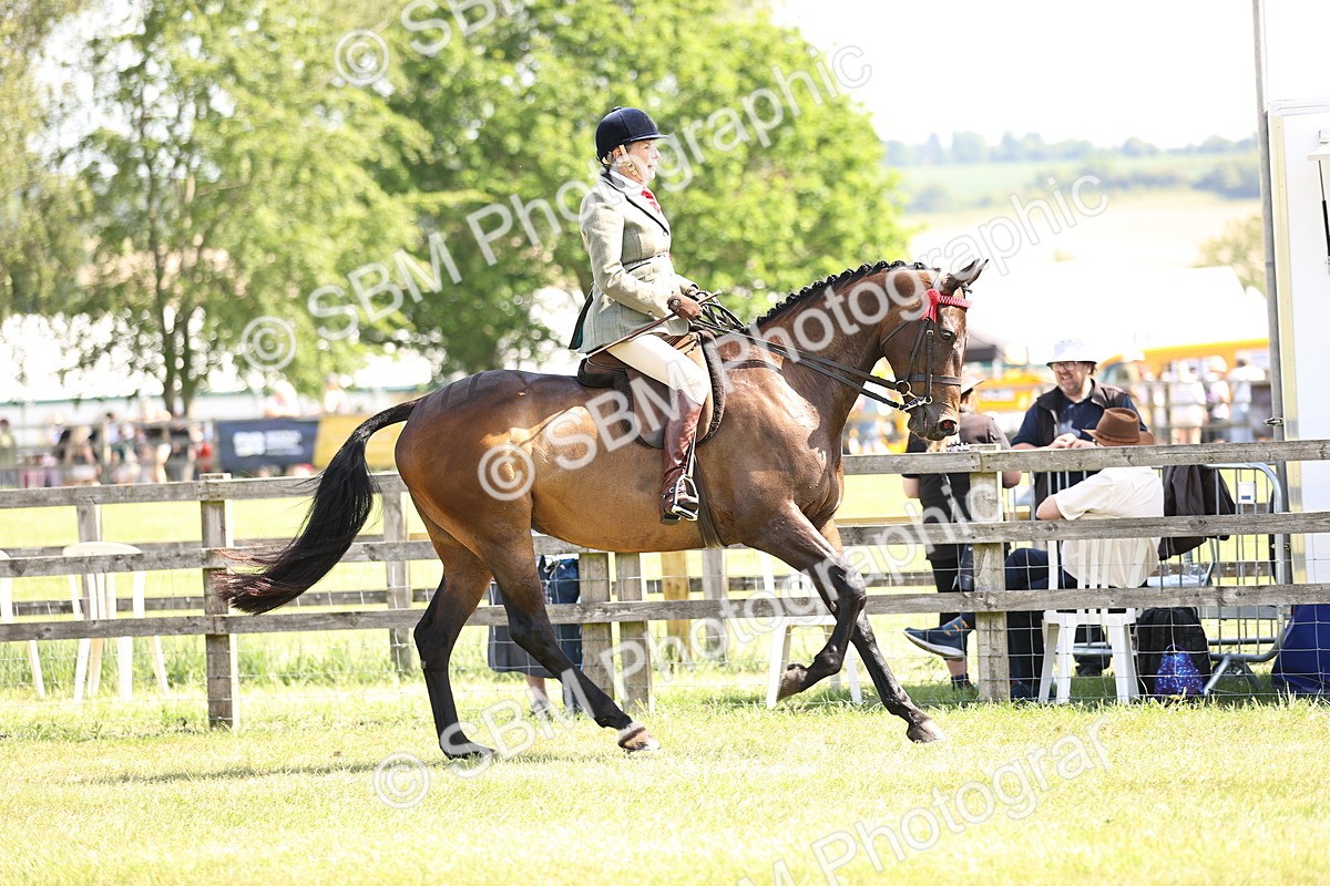 SBM_13070 - Class 75-76 LIHS BSHA Rising Star Hack Riding Horse