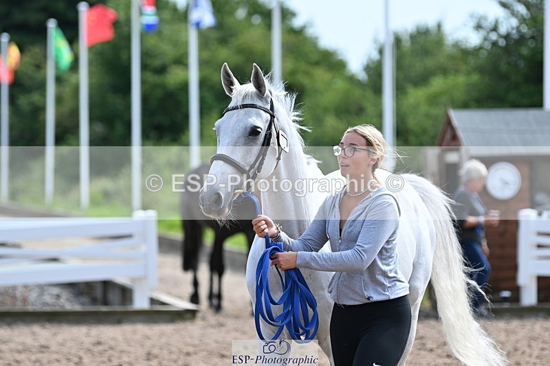 240717A-161525-03386 - Trot Up 4pm to 5pm