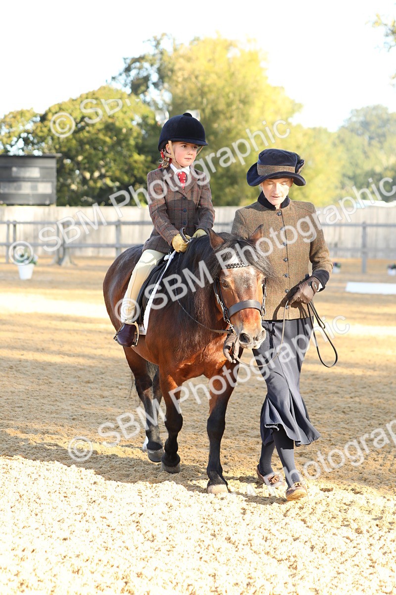 SBM_33679 - D26 - Starers - Lead Rein