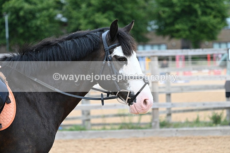 WJ7_9353 - Poles 14:00