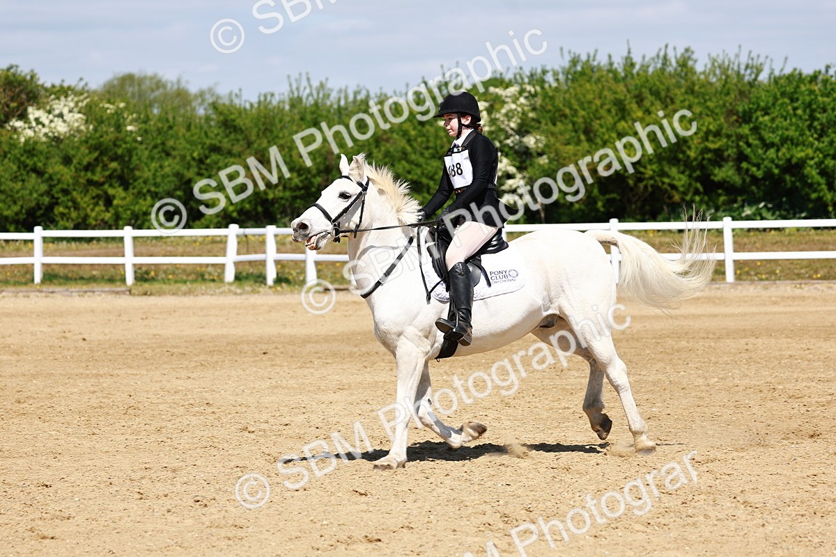 SBM_007651 - Class 3 - 60cm