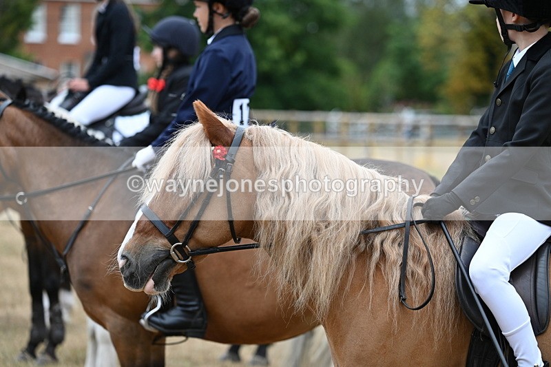 WJ7_7097 - Class 2 Best Rider