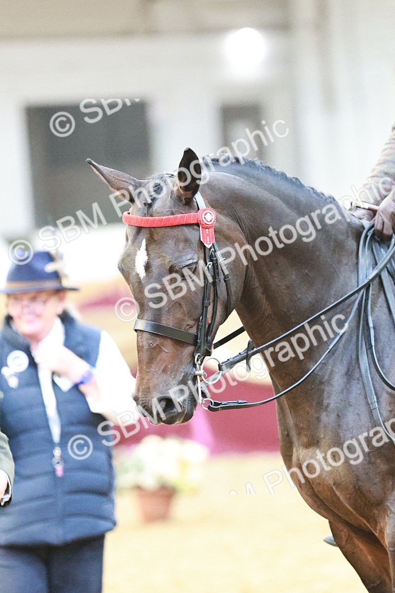 SBM_07214 - Class 10R - Regional Ridden Diamond