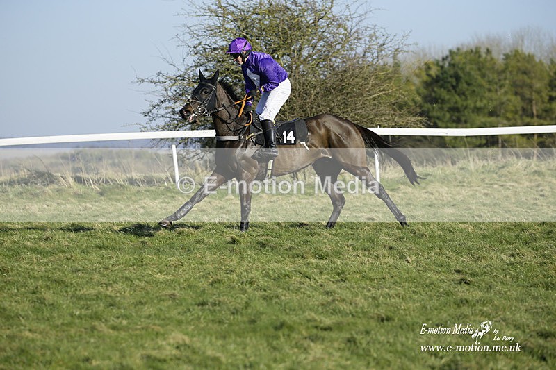 PtP 270222 291 - South & West Wilts Point-to-Point Larkhill 27/02/22
