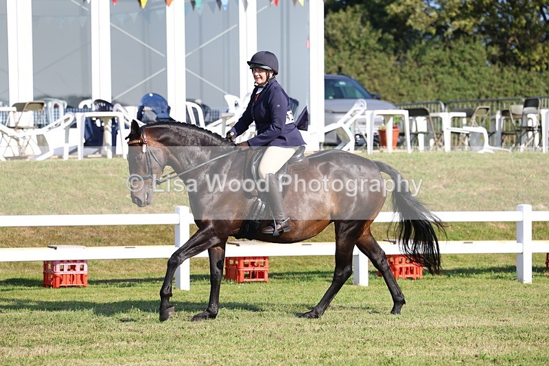3E7A5386 - Class 2: Rising Star Large Hack/Riding Horse