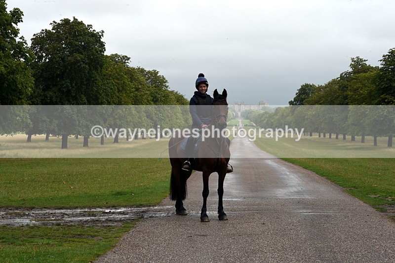 TT3_8299 - Time at Crossing 10:16 to 11:38