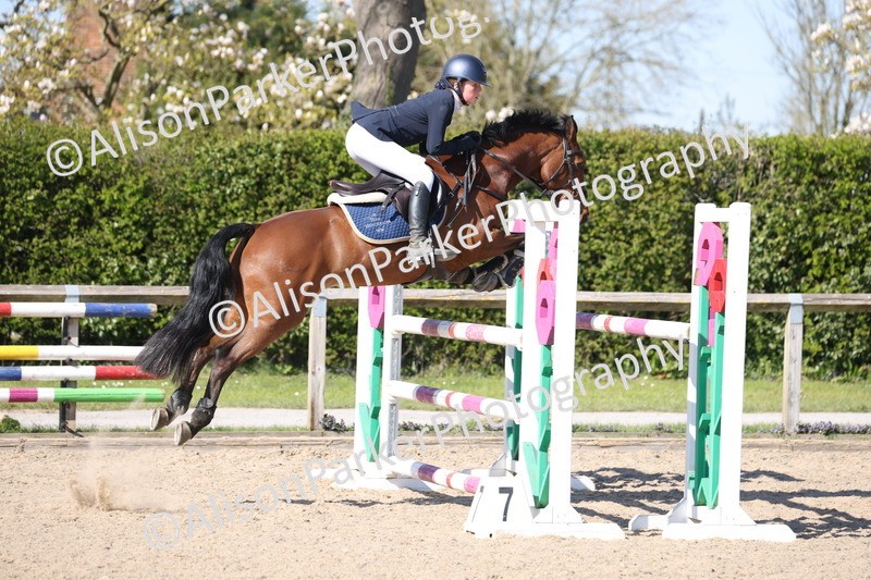 20250409-2002 - Class 7 - Pony Foxhunter