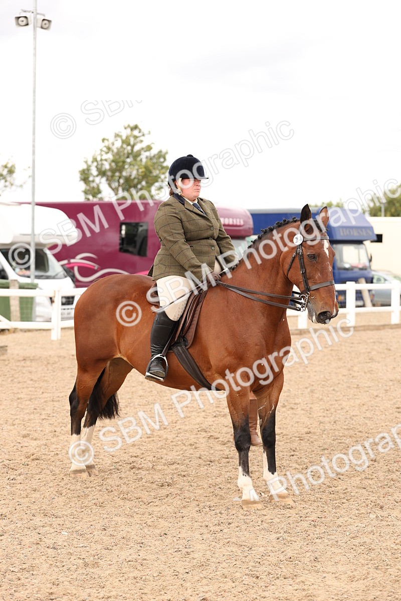 SBM_16514 - Class 212 - Ridden Hunter - Small