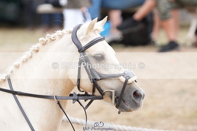 250820A-124712-05871 - Round 2, Start to 13.45 Break