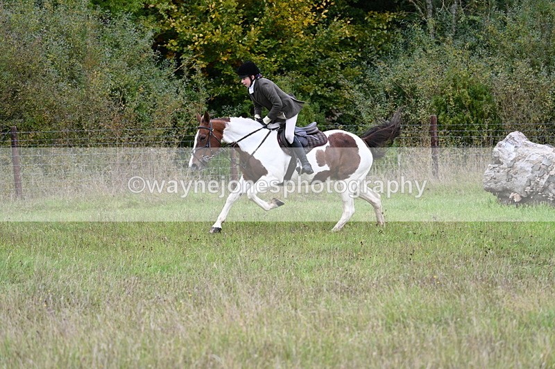 WJ7_3723 - Camera 1 Line 1