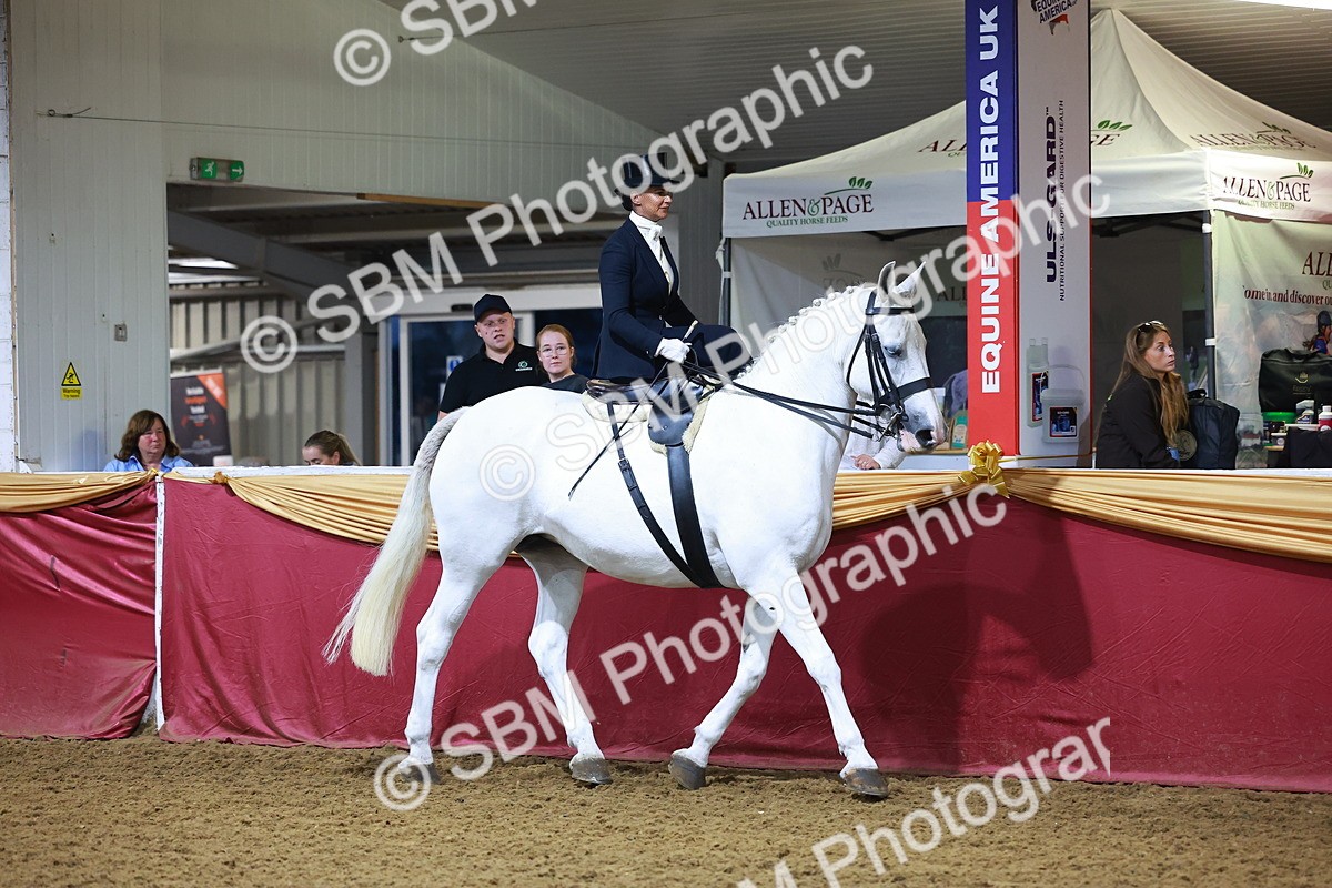 SBM_15025 - Class N - Side Saddle Champ