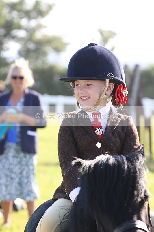 JPP_0820 - Class 16: Cornish Combination Leading Rein