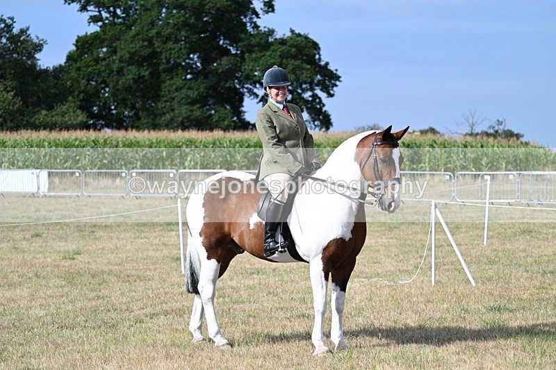 WJ7_2613 - Class 8 Ridden Tack & Turnout