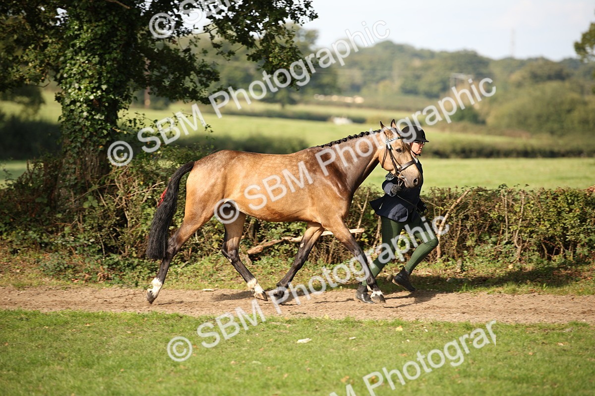 SBM_60082 - S53 - Hunter In Hand