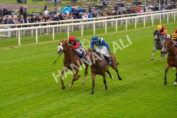 140723-Race 1-Northern Express-8089 - Race 1 2.05pm William Hill Epic Value Handicap