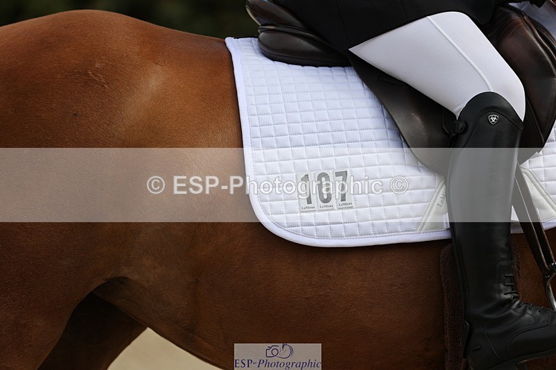 250718A-145028-02291 - 107-Beatrice.Coker-Brown-Portia.the.Fawn