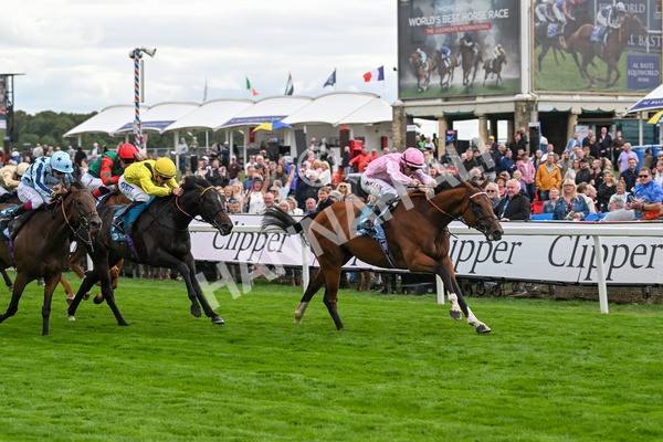 210825-Race 3-Bullet Point-4238 - Race 3 3.00pm Clipper Handicap