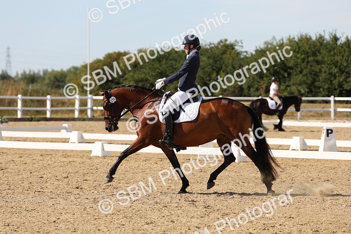 SBM_003812 - Elementary 4