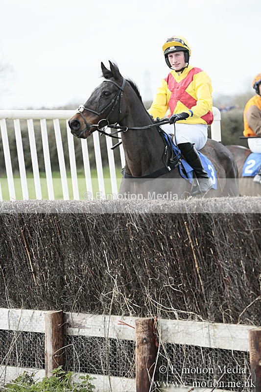 PtP 230319 213 - VWH Hunt Siddington Point-to-Point Racing 23/03/19