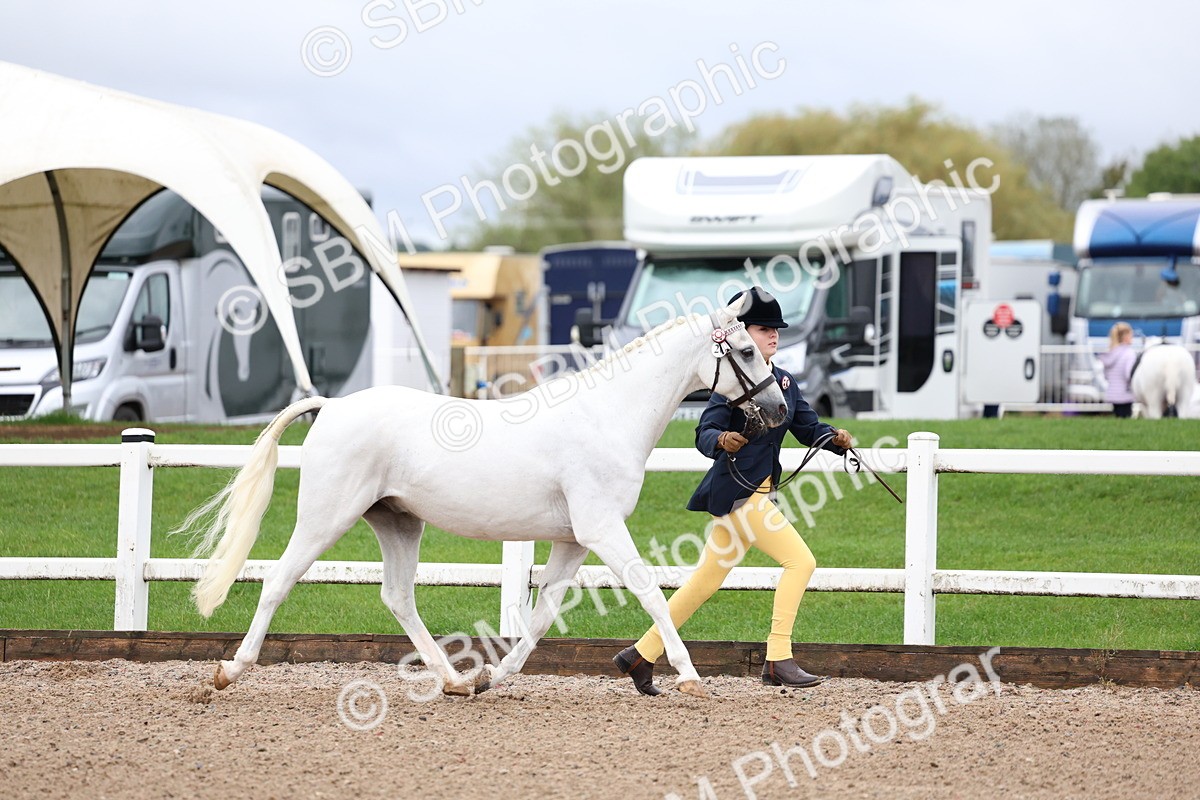 SBM_00237 - Class 13 - Young Handler