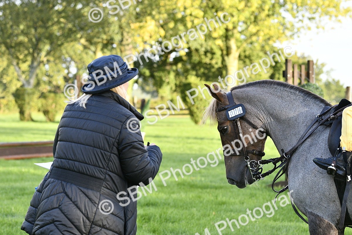 SBM_35391 - S30 - Nursery Stakes Working Hunter Pony