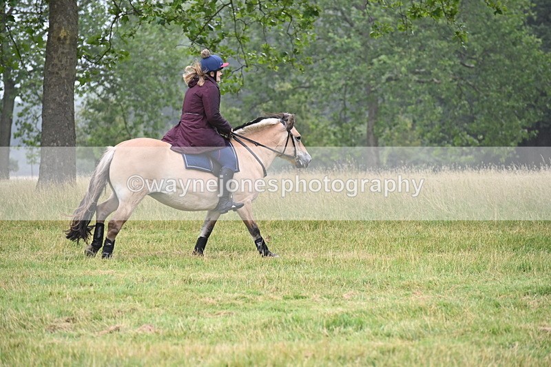 WJ6_0758 - Time at Kitchen Jump 11:34 to 12:28