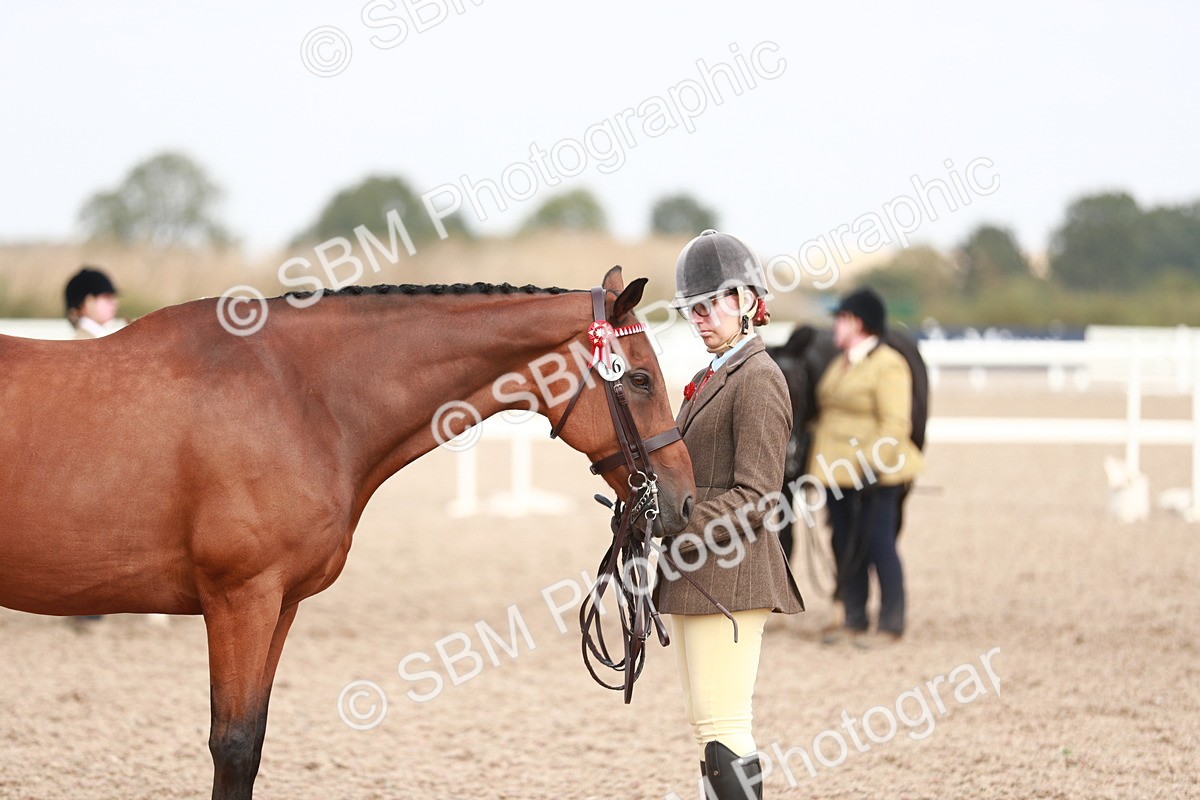 SBM_13273 - Class 208 IH Veteran Horse
