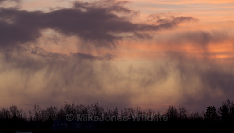 Snowstorm at Sunrise in Noethern Sweden - FINLAND & SWEDEN LANDSCAPES