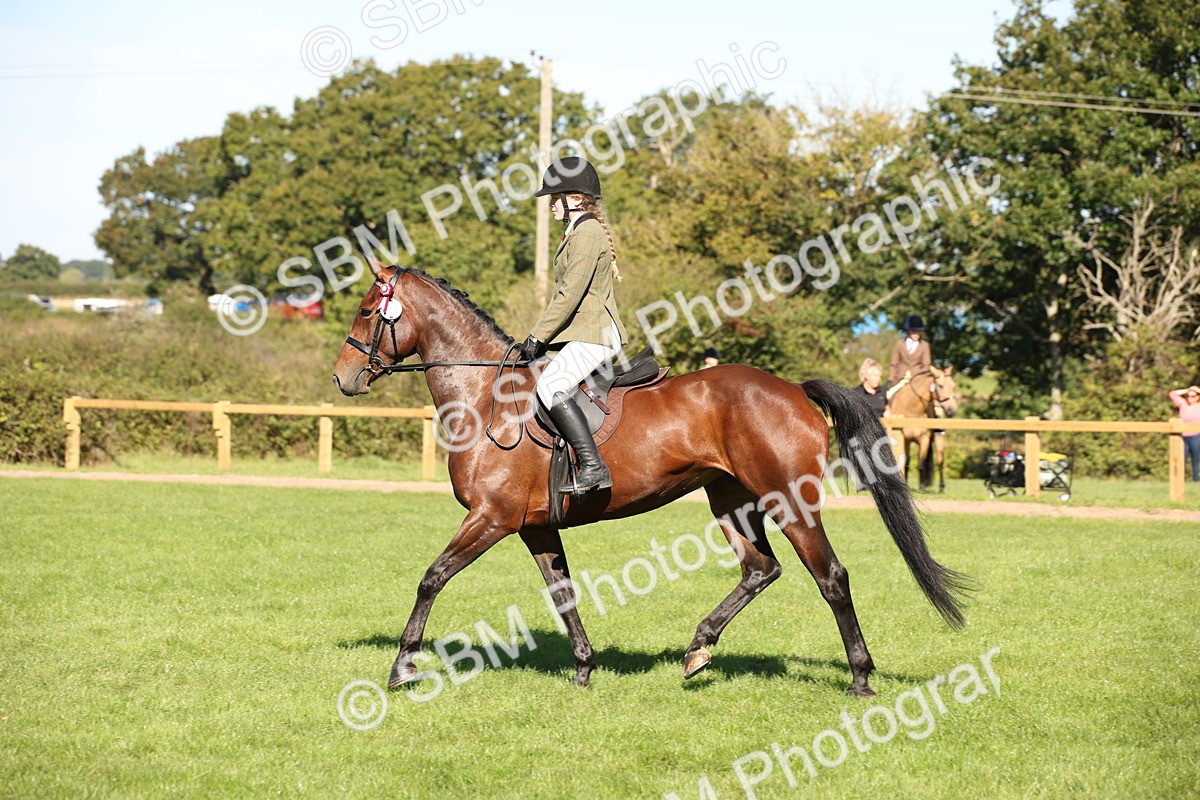 SBM_38992 - S11 - Best Ridden Horse & Pony