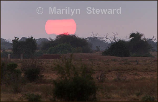 Sun rise - Kenya, Tsavo East