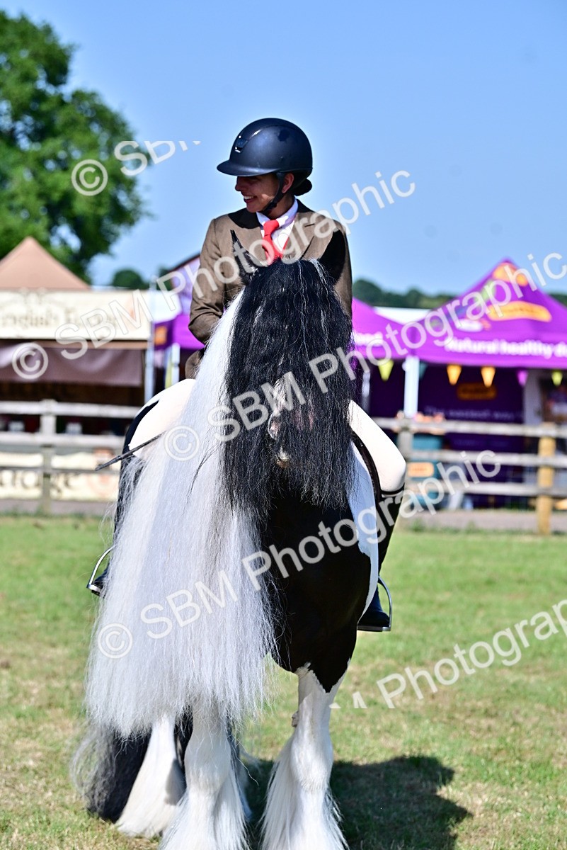 SBM_19454 - Class 101-102 - BSPS LIHS Performance Coloured Horse/Pony