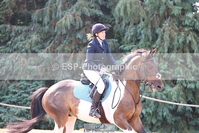 250816A-102205-00677 - Cls 3 Snr British Novice