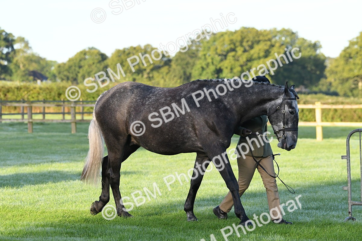 SBM_32464 - S15 - Condition & Turnout In Hand