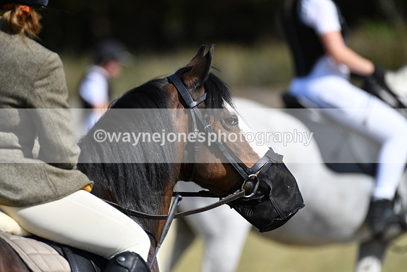 WJ5_4698 - Pre meet