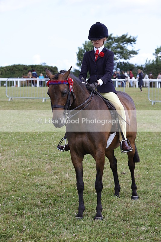 1X9A3896 - Class 31: Show Pony 148cm and under