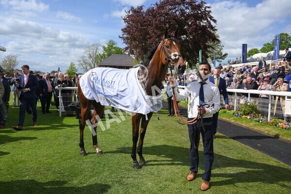 yr12052022r4-65 - Race 4 3.35pm Al Basti Equiworld Dubai Dante Stakes