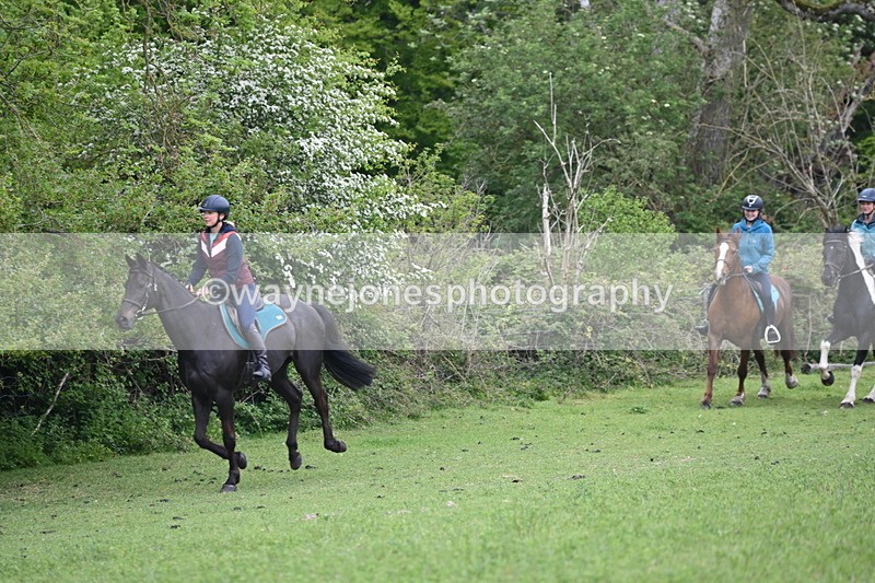 WJ6_2940 - A Camera