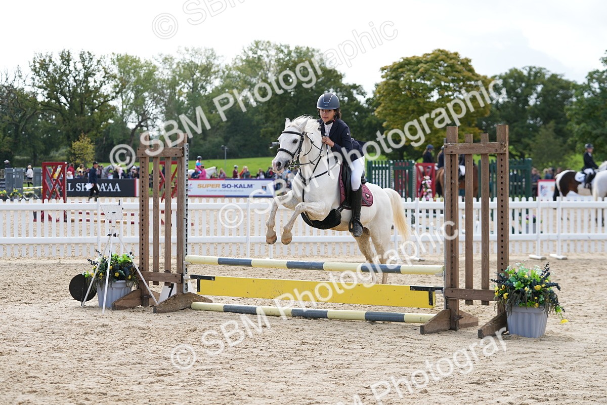 SBM_40812 - Supreme Championship Pony 50-55cm
