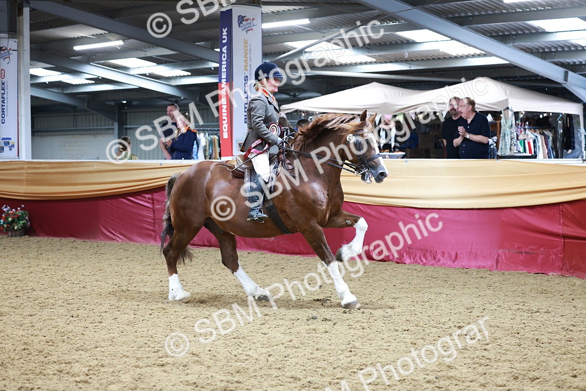 SBM_18920 - Class 952 - M&M Ridden Supreme Final