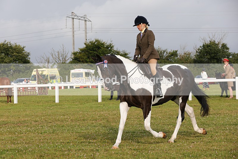 1X9A2893 - Class 25: Ridden Plaited Coloured Horse