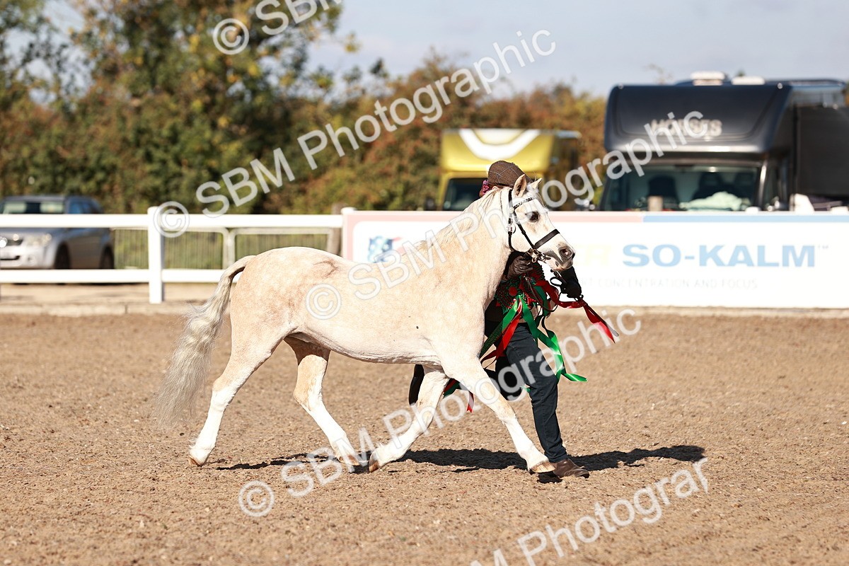SBM_11473 - Class 402 - IH  Veteran pony