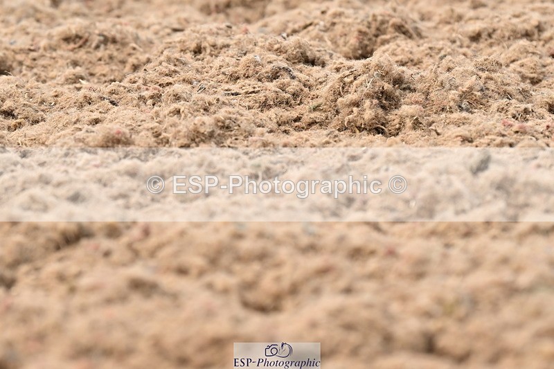 240622A-150513-12052 - Cls 6A Novice 30