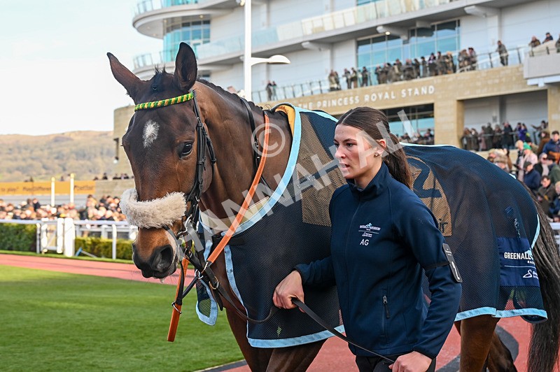 250125-Race 3-Iroko-3228 - Race 3