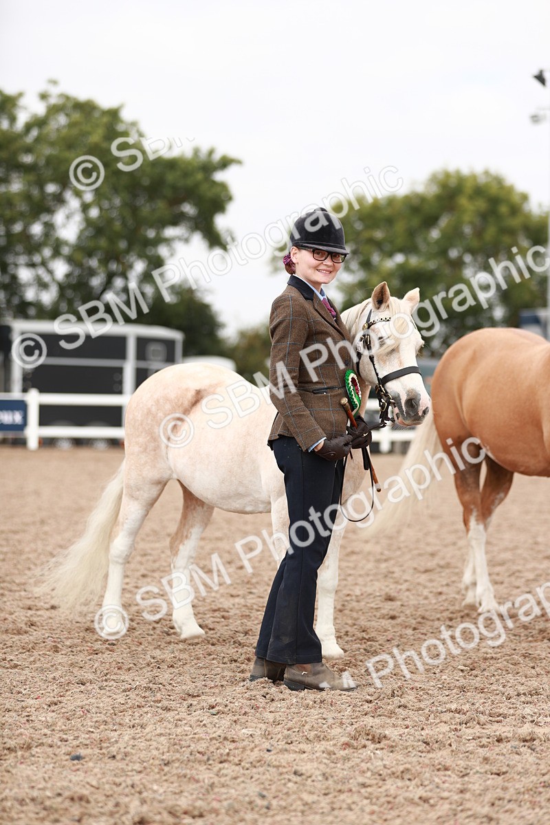 SBM_12562 - Class 207 IH M&M