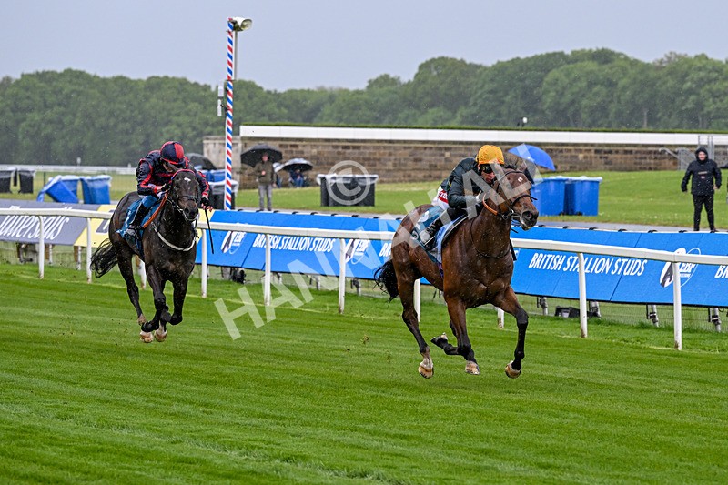 130526-Race 1-Cut A Dash-1967 - Race 1 1.45pm British Stallion Studs EBF Novice Stakes