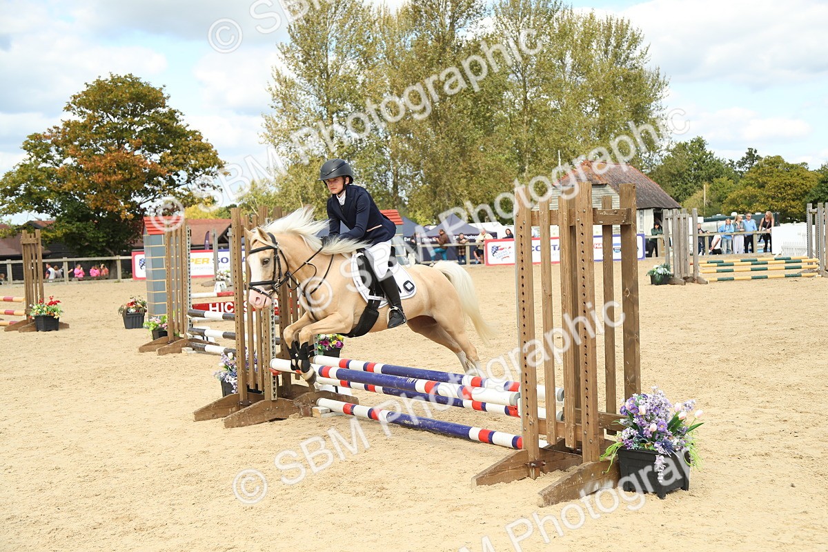 SBM_41431 - J6 - Junior Pony 55cm Championships