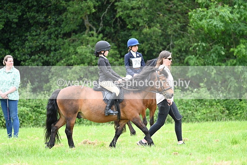 WJ7_4093 - Class 14A Handsome Gelding
