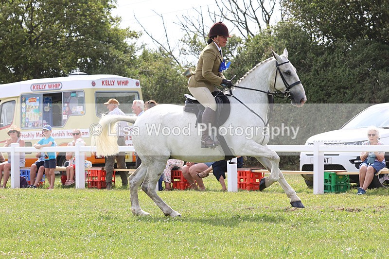 JPP_3979 - Class 23: Working Hunter 80cm