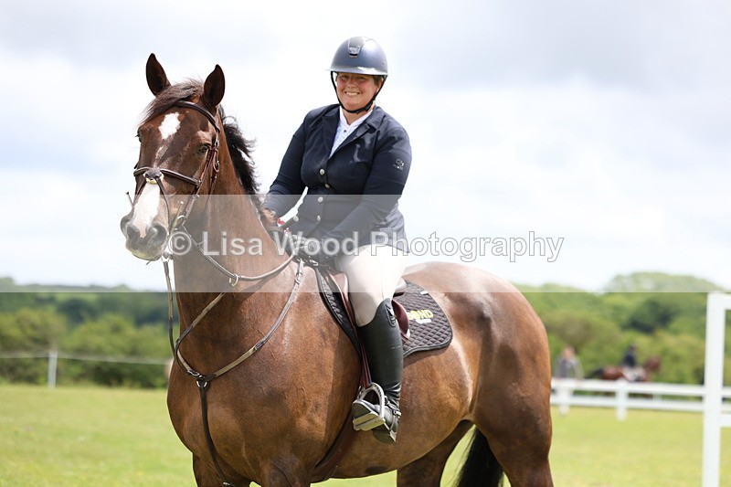 3E7A7165 - Class 12: Senior Foxhunter/1.20 open